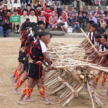 Hornbill Festival Tour