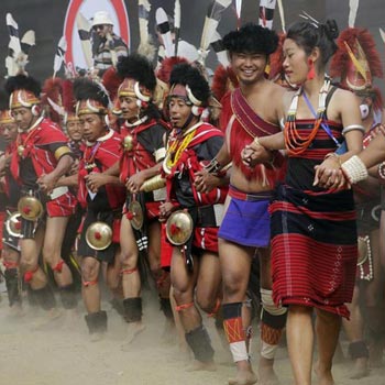 Hornbill Festival Tour