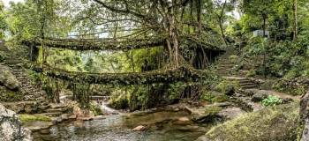 Foreign Nationals 15 Days Arunachal Meghalaya Assam Nagaland Tour