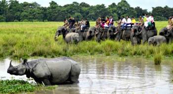 Packages in Kaziranga