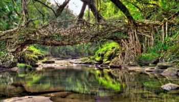 6 Nights 7 Days Assam- Meghalaya Tour