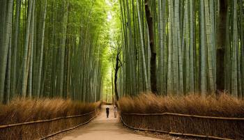 6 Nights 7 Days Assam- Meghalaya Tour